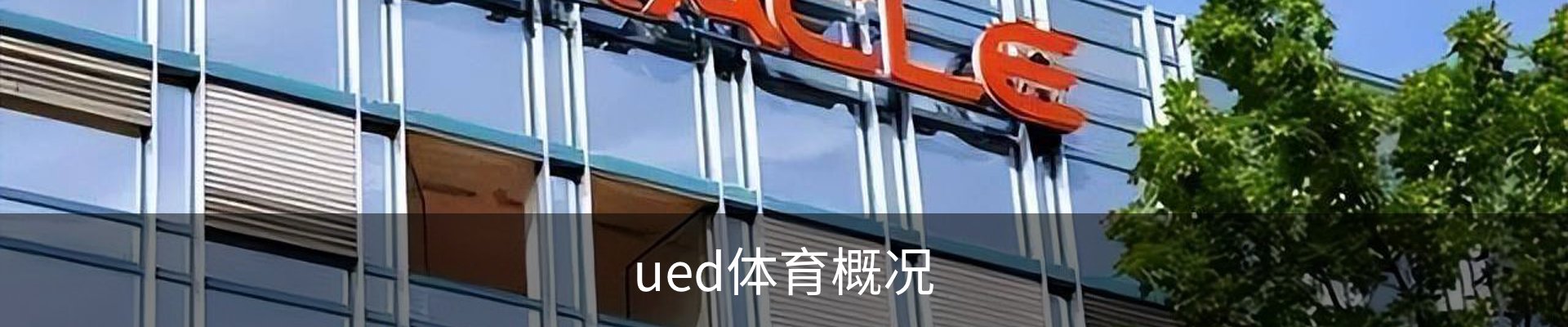 ued体育概况